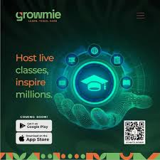  Why Smart Learners Are Choosing Skills Over Degrees and Finding Growmie University